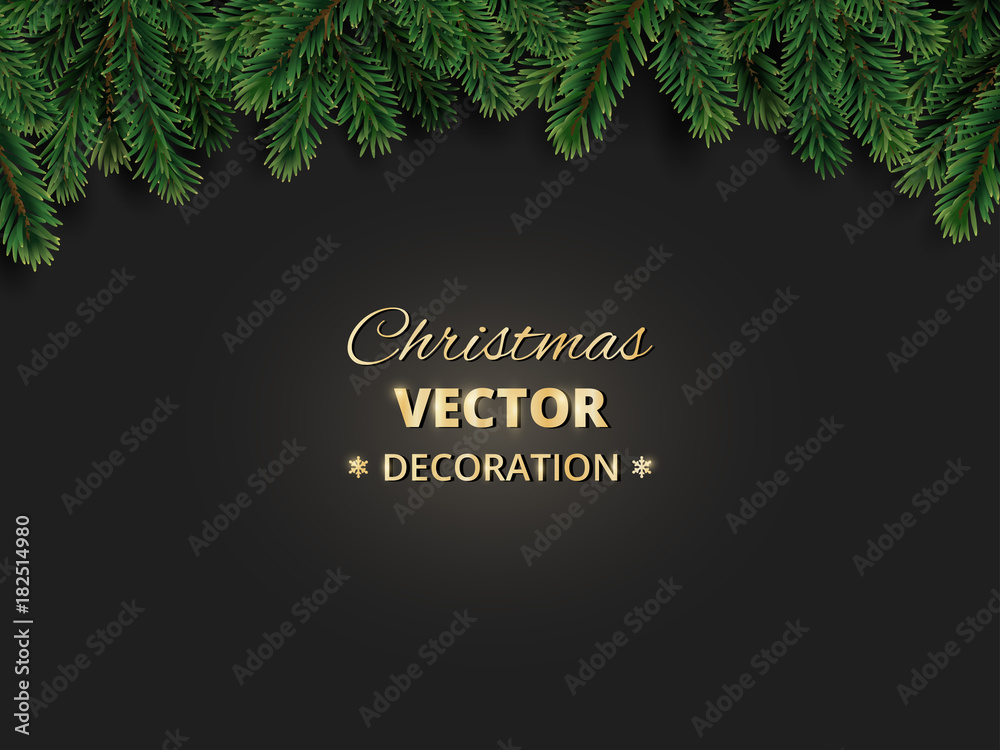 Realistic christmas tree branches background Vector Image
