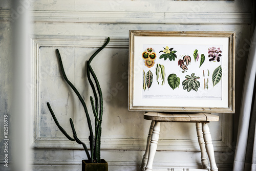 Picture go hand drawing flowers collection in a frame