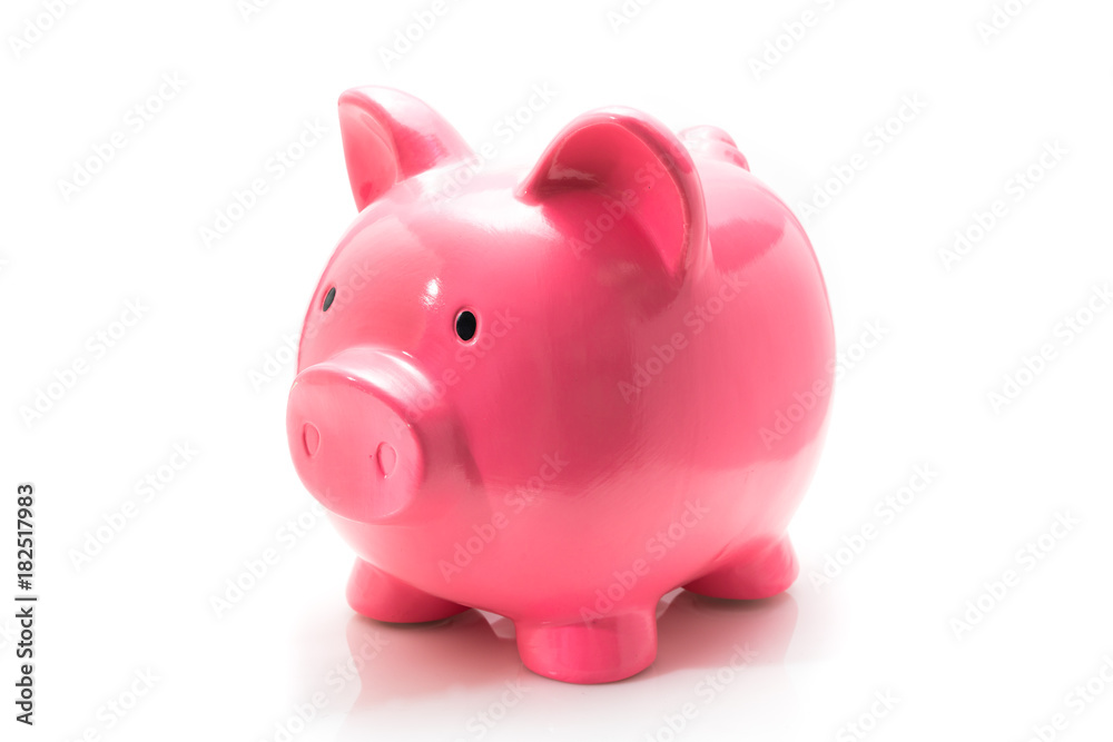 Cute Pink Money Piggy, Studio Shot