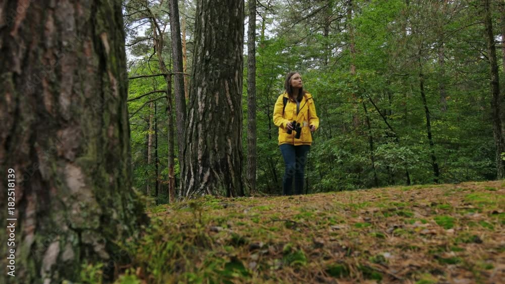 Attractive female hiker in yellow coat walking alone in the forest and looking in the binoculars. Outdoors
