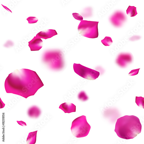 バラ　花びら　舞い散る　ピンク photo