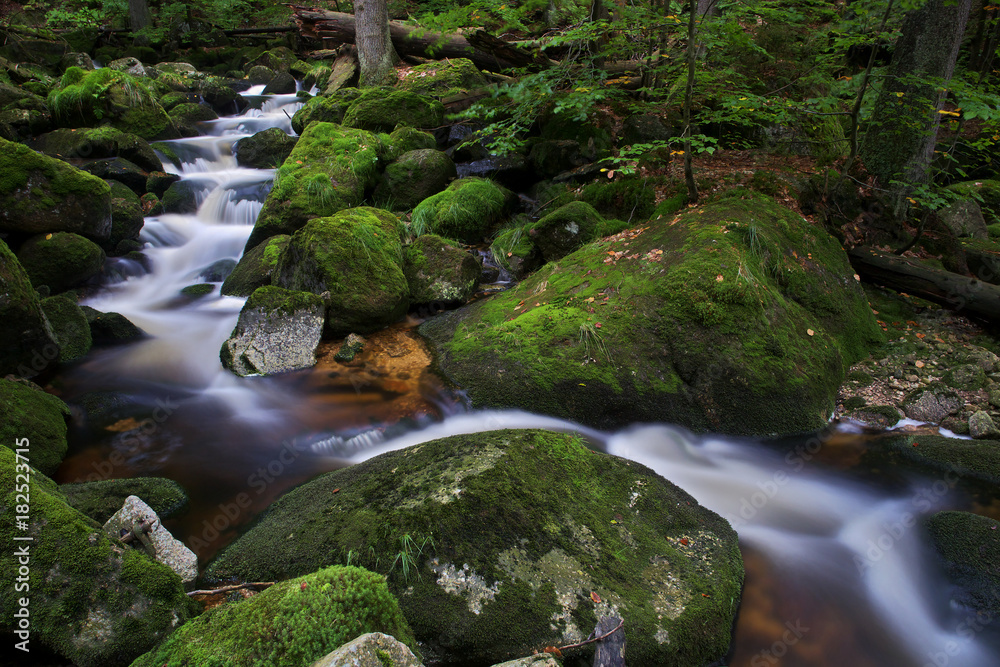 Jedlova - Firtree Stream, a stream in the Firtree Valley in Jizera Mountains with numerous small casdades and waterfalls, Czech Republic Jedlova - Firtree Stream, a stream in the Firtree Valley in Jizera Mountains with numerous small casdades and waterfalls, Czech Republic