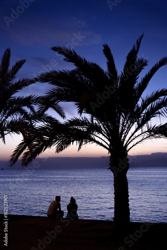   ouple on shore of Red Sea. Palm  sunset. Aqaba  Jordan