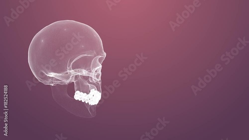 Spinning skull with plexus photo