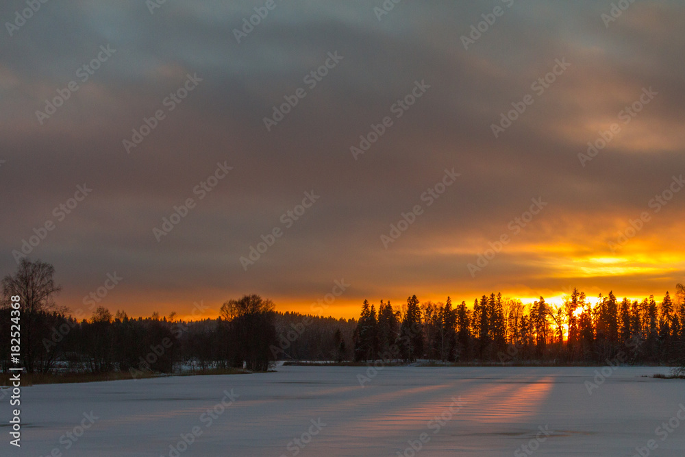 Wild nature in Estonia during early winter Wild nature in Estonia during early winter