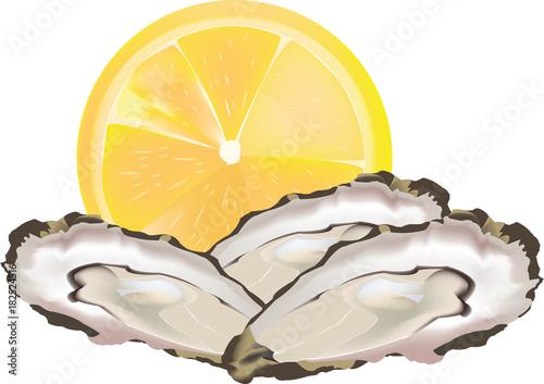 frutti di mare crudi ostriche aperte