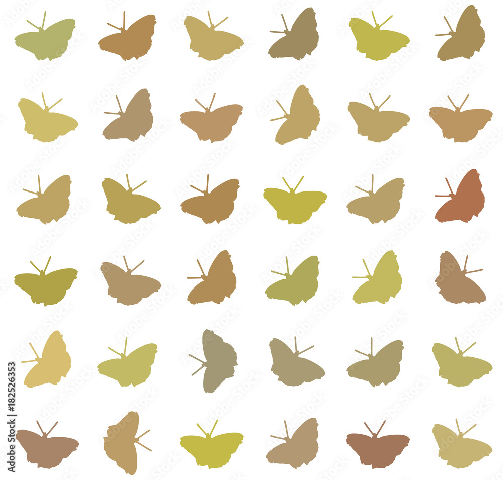 textuur of patroon van vlinders