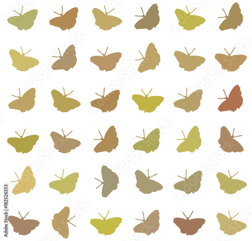 textuur of patroon van vlinders photo