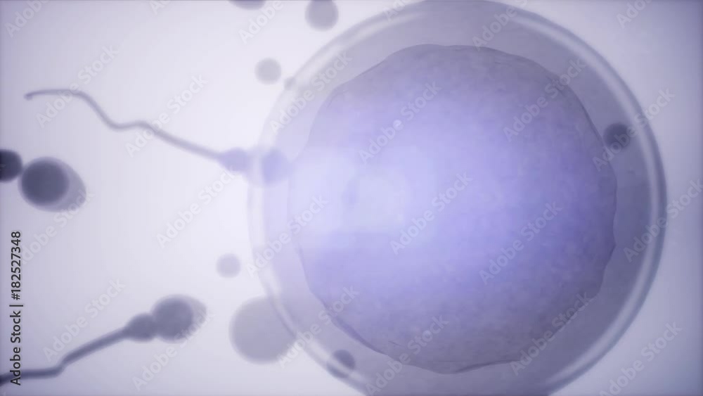 sperm and egg cell. frosen microscopic research
