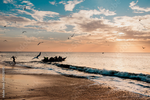 Birds attacking person on beach photo