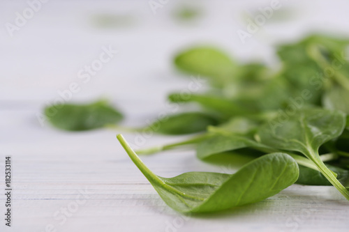 Schilderij op canvas Green leaves of fresh spinach