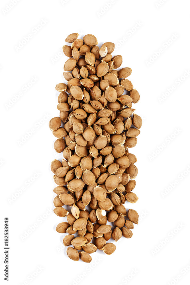 apricot pits isolated