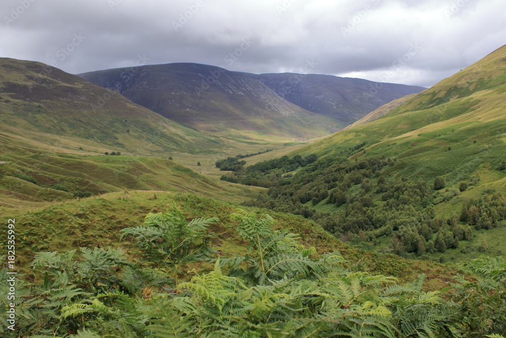 Fototapeta premium scotland