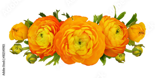 Orange ranunculus flowers and leaves composition