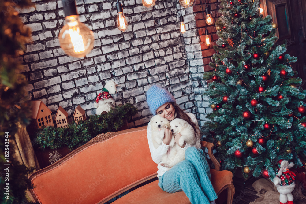 Beautiful woman with cute puppies sitting near Christmas tree. New Year.