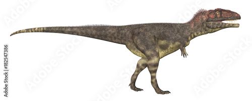 Dinosaurier Mapusaurus  Freisteller