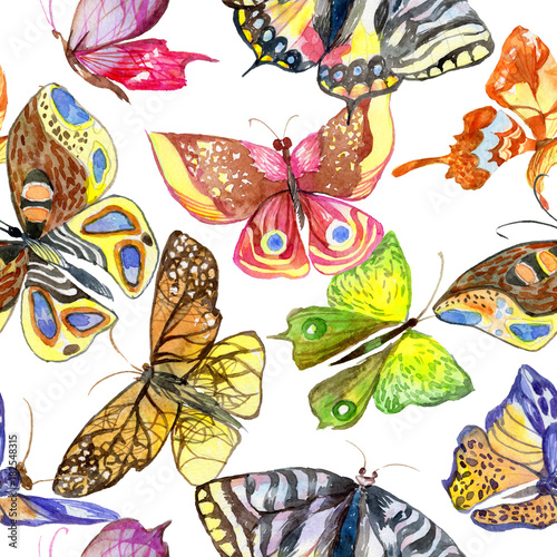 Exotic butterfly wild insect pattern in a watercolor style. Full name of the insect: butterfly. Aquarelle wild insect for background, texture, wrapper pattern or tattoo. © yanushkov