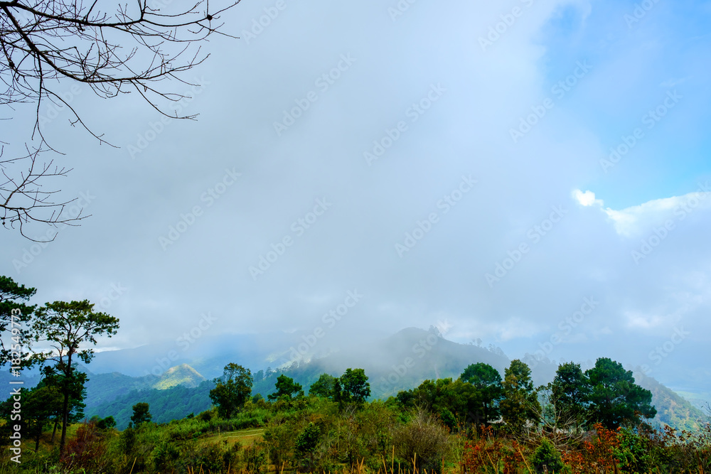 Obraz premium high mountains peaks range clouds in fog scenery landscape national park view outdoor at Doi Ang Khang, Chiang Mai Province, Thailand