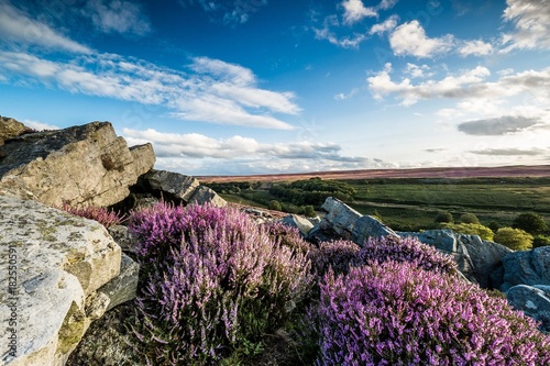 North yorkshire moors 