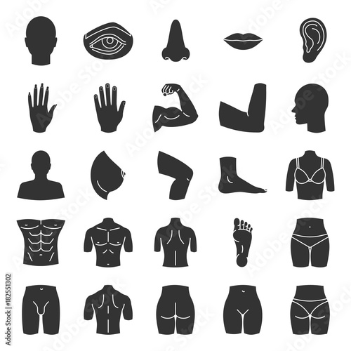 Human body parts glyph icons set