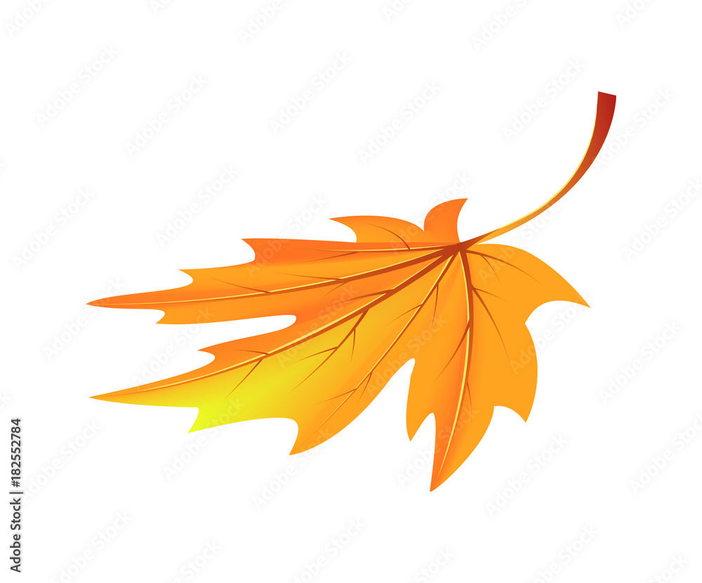 Autumn Golden Yellow Leaf Vector Illustration