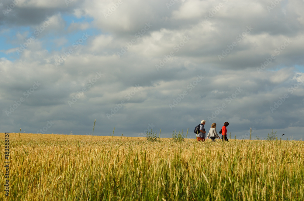 hikers in a field after the storm hikers in a field after the storm