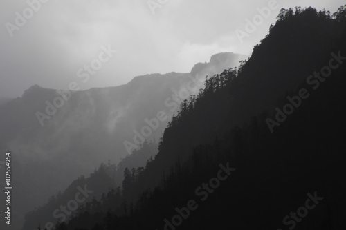 Grayscale Dark and Light Landscape Silhouette of Misty Mountains covered in Spruce Pine Coniferous Trees Shrouded in Clouds. Taken in Paro, Bhutan near Tiger's Nest Monastery.