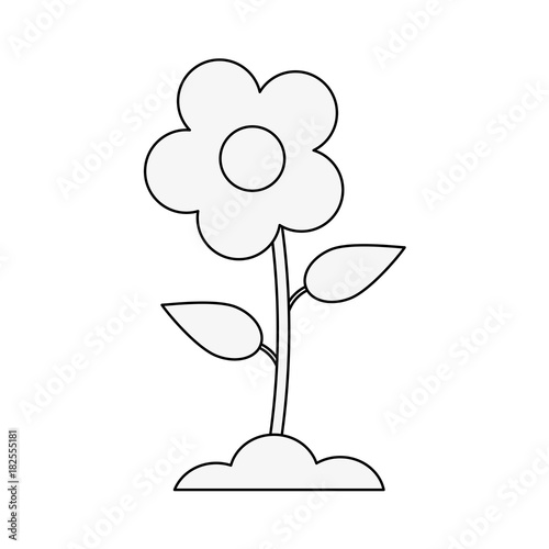 Beautiful flower planted icon vector illustration graphic design