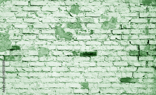 Old weathered brick wall pattern in green tone