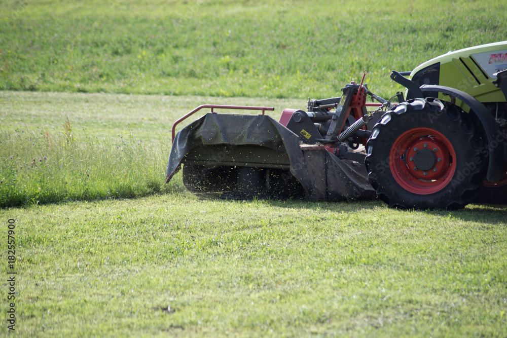 Fototapeta tractor haying grass own summer lawn