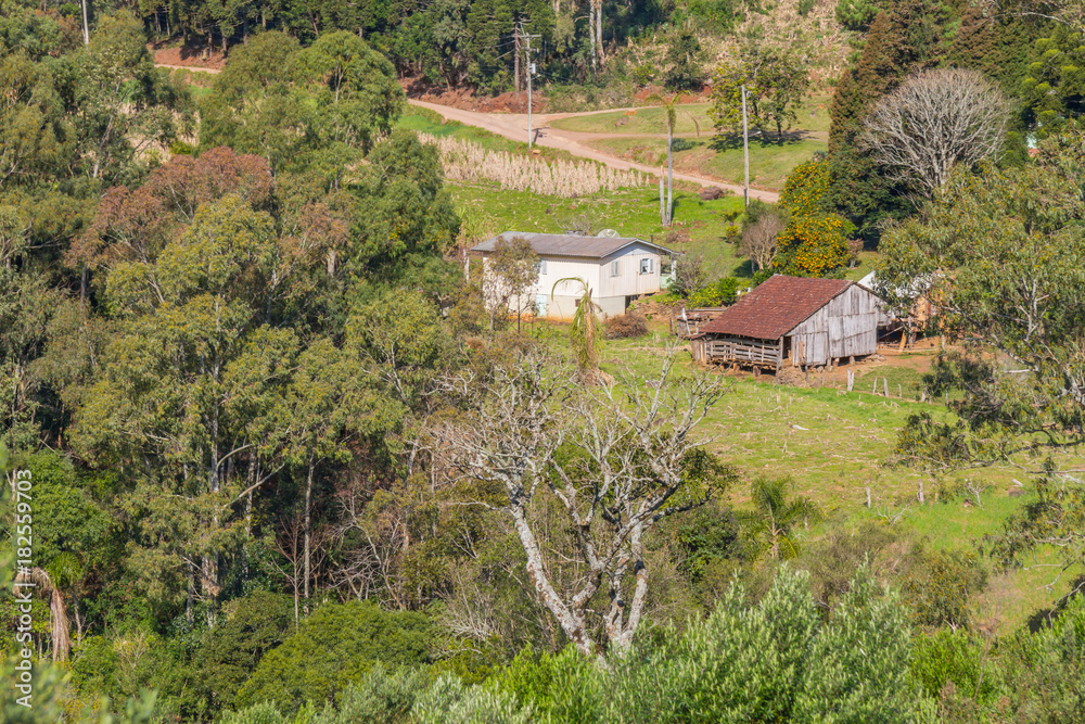 Farm, Forest and mountains in Gramado