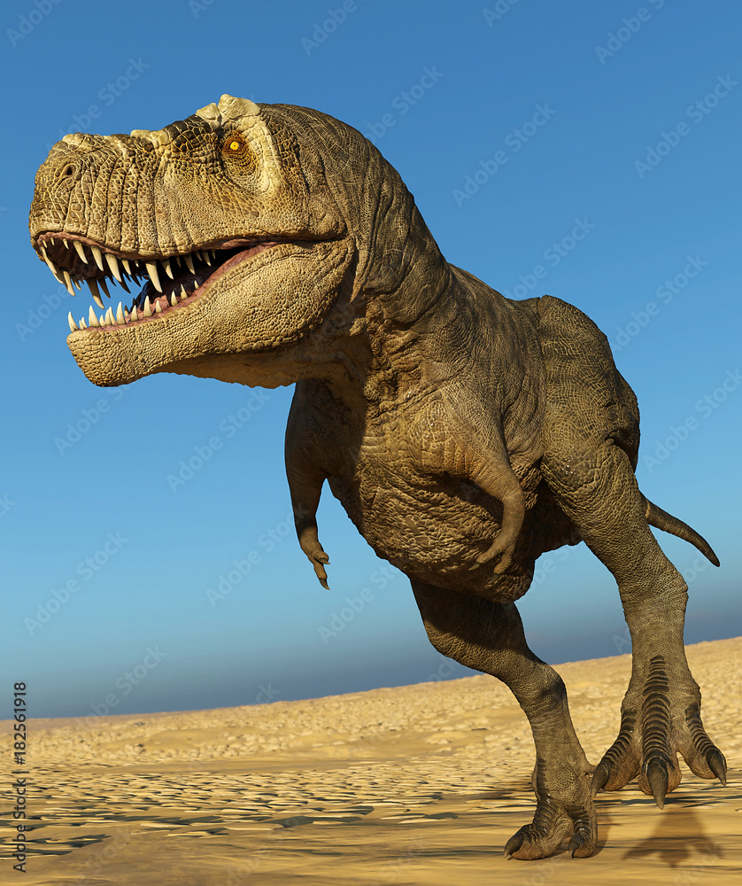 Fototapeta premium tyrannosaurus rex