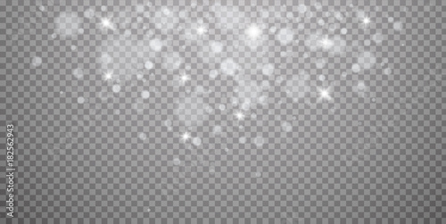 Snow overlay on transparent background. Vector illustration of falling snowflakes isolated. Vector template