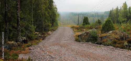 Fotografie Stone Macadam Road in the Forest
