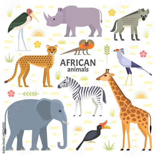 Vector illustration of African animals and birds  elephant  rhino  giraffe  cheetah  zebra  hyena  secretarybird  marabou and frilled-neck lizard  isolated on transparent background.