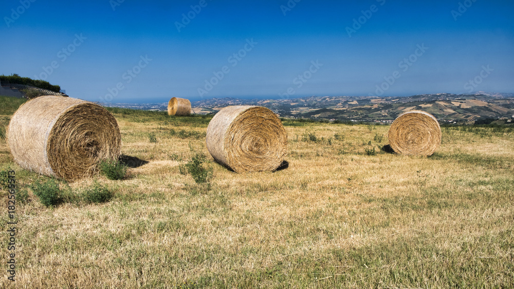 Landscape near Civitella del Tronto (Abruzzi) at summer