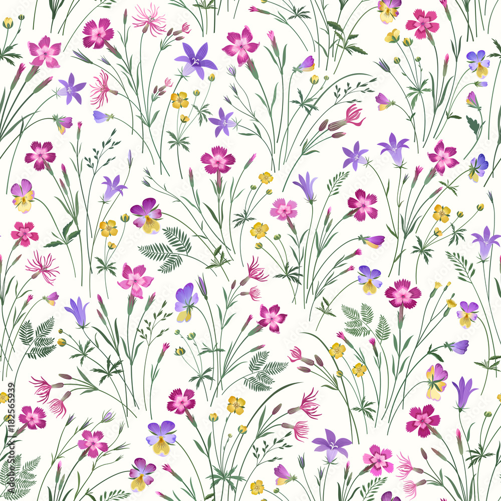 meadow flower seamless pattern on white  background