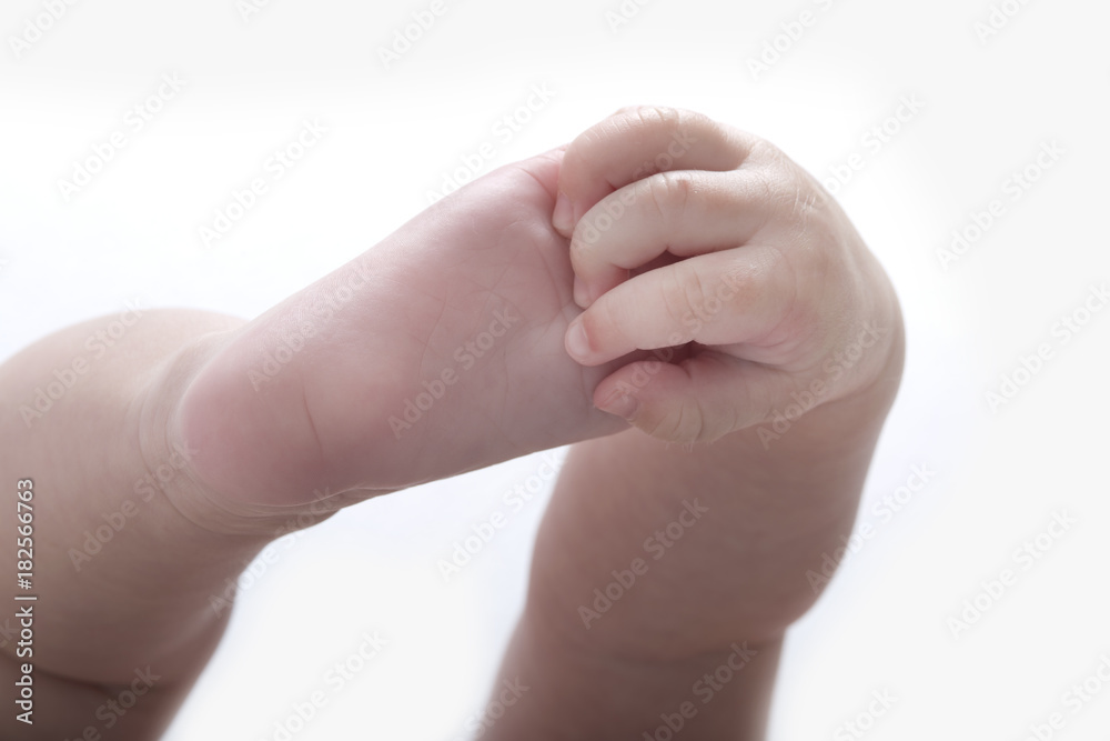 baby arms legs foot and hand isolated on a white background baby arms legs foot and hand isolated on a white background
