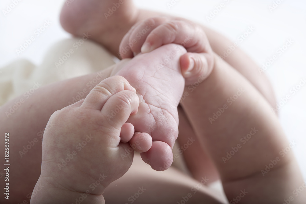 baby arms legs foot and hand isolated on a white background baby arms legs foot and hand isolated on a white background
