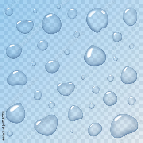 Water Drops Transparent Backdrop Realistic Vector