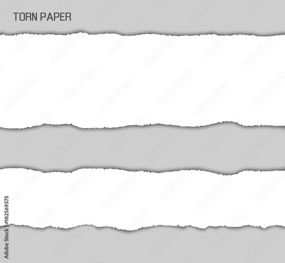 Torn Paper Srtipes Vector Illustration Torn Paper Srtipes Vector Illustration