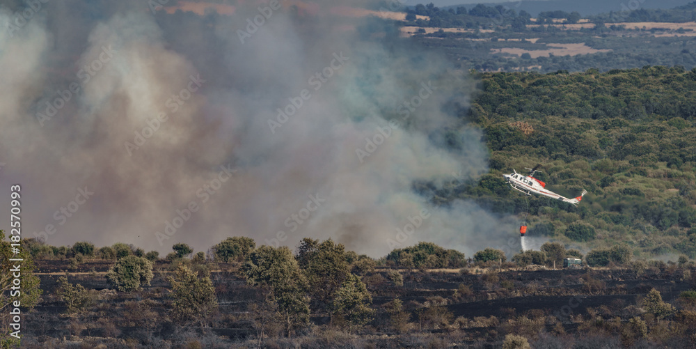 Fototapeta premium Fire in the wilderness with helicopter throwing water