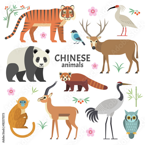 Vector illustration of Chinese animals: panda, red panda, David deer, tiger, crane, monkey, ibis, isolated on white background