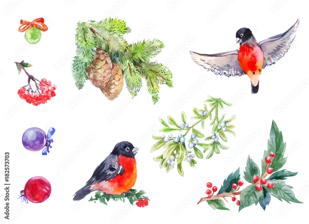 Winter decoration elemets. Watercolor new year set with red birds, branches, Christmas balls, rowanberry, mistletoe, holly