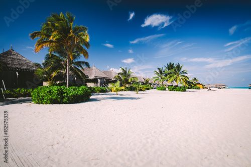 Straw houses on a sandy beach with tropical flora on Maldives