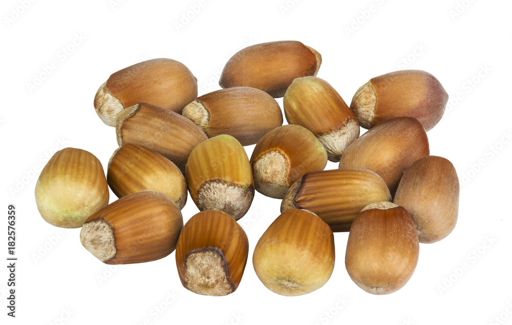 Nuts hazelnuts on white background isolated Nuts hazelnuts on white background isolated
