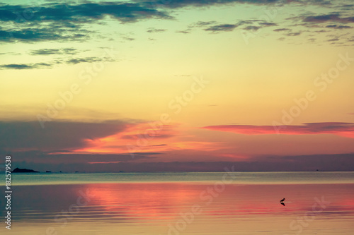 Beautiful sea sunset © olezzo