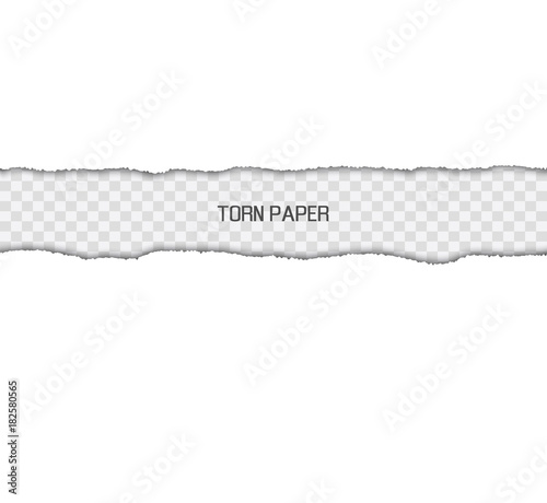 Torn Paper Picture Design Vector Illustration