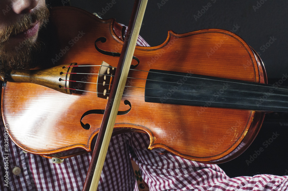Fototapeta premium Violinist plays music