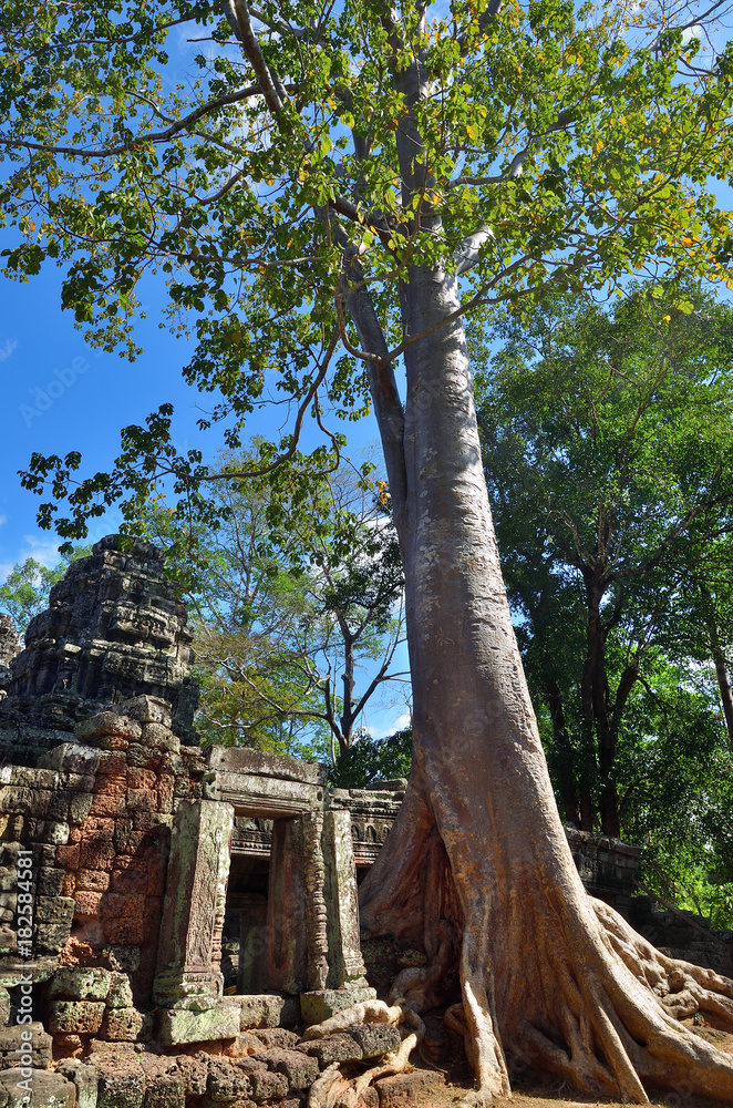 Bantey Khde temple in Angkor Wat, Cambodia